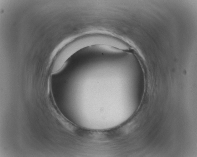 X0000083061175200702232013