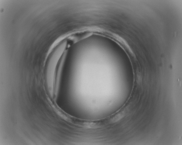 X0000083061176200702232013