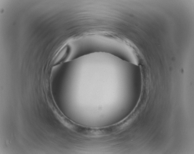 X0000083061177200702232013