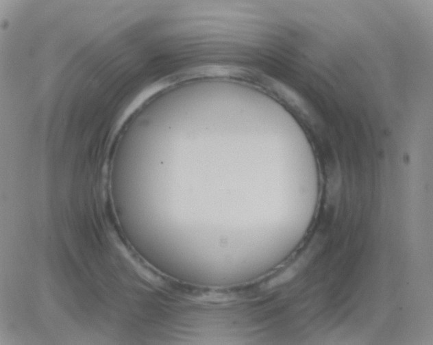 X0000083061178200702232013