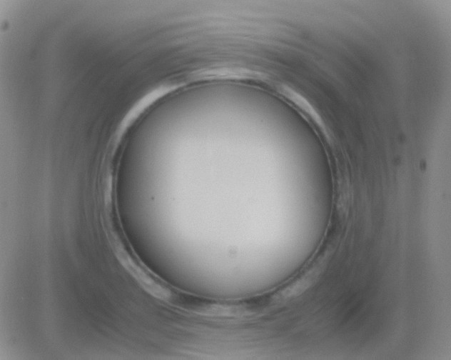 X0000083061179200702232013