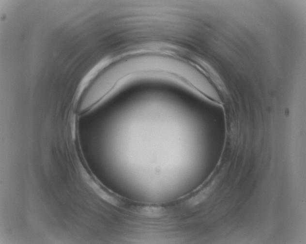 X0000083061180200702232013