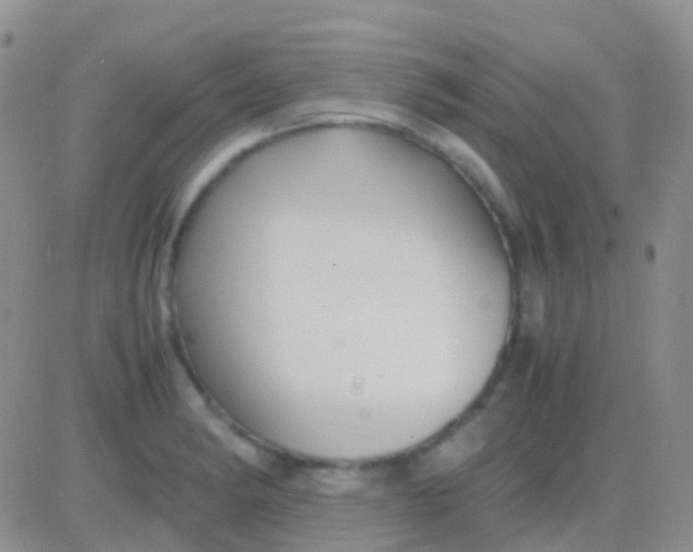 X0000083061182200702232013