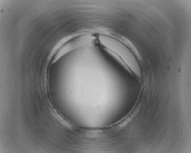 X0000083061184200702232013