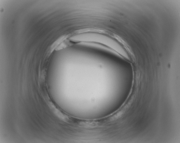 X0000083061185200702232013