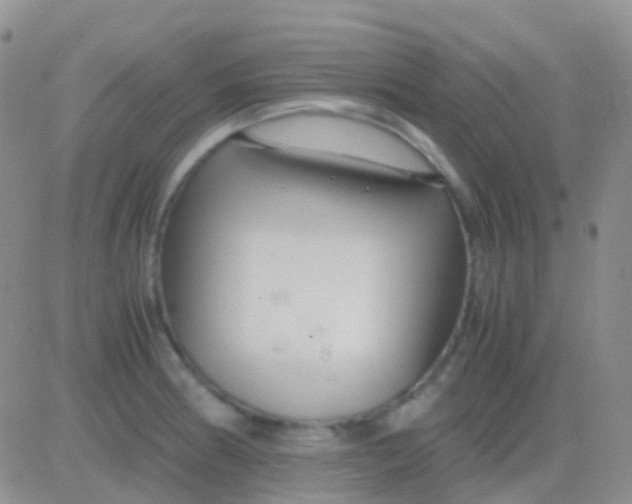 X0000083061186200702232013