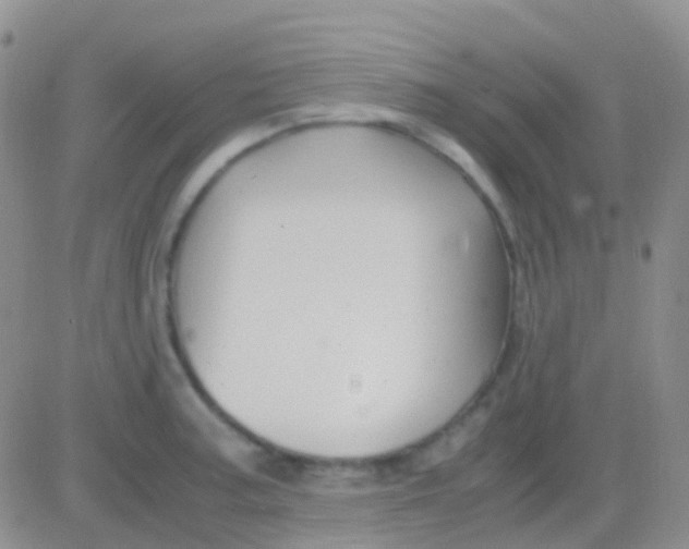 X0000083061187200702232013