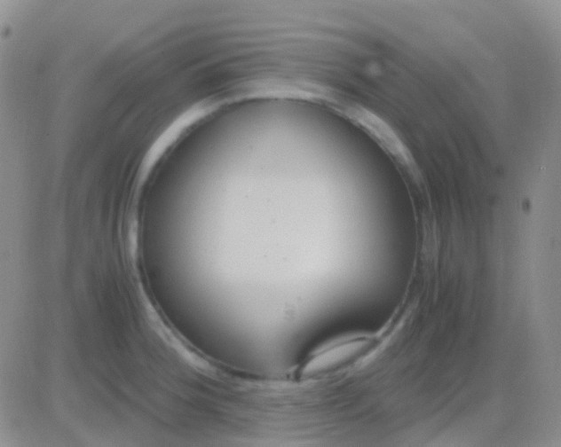 X0000083061188200702232013