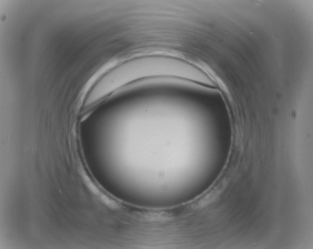 X0000083061189200702232013