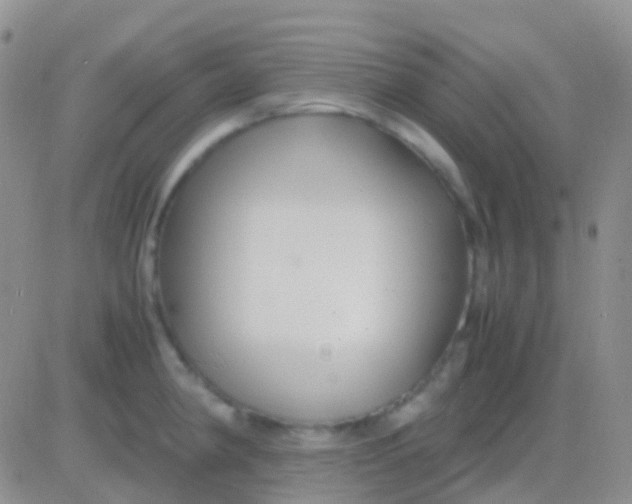 X0000083061190200702232013