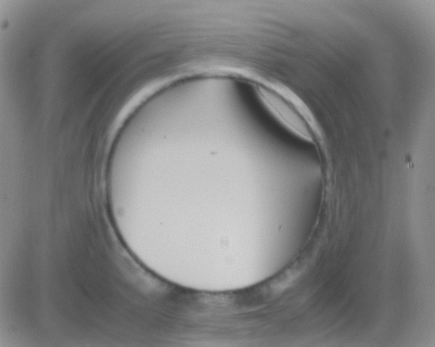 X0000083061191200702232013