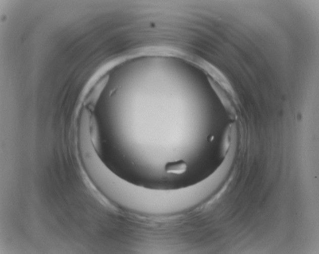 X0000083061192200702232013