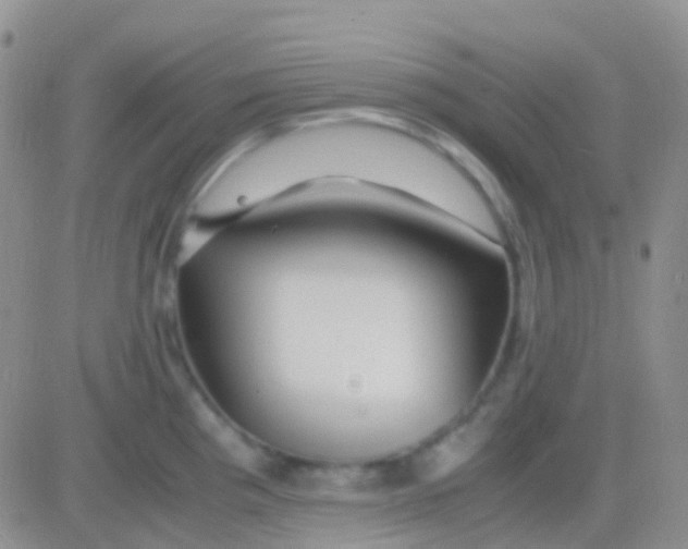 X0000083061193200702232013