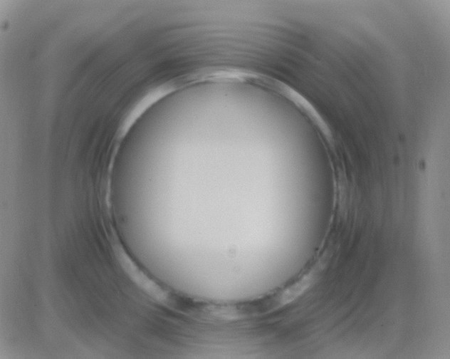 X0000083061194200702232013