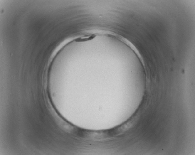 X0000083061195200702232013