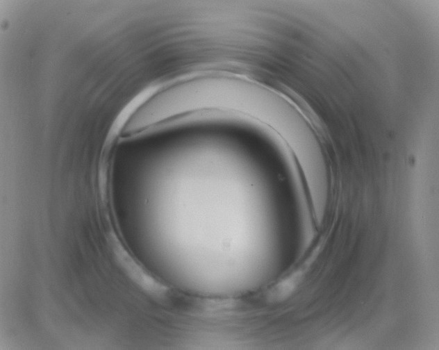 X0000083061196200702232013