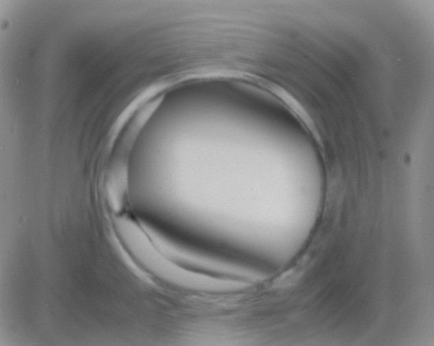 X0000083061197200702232013