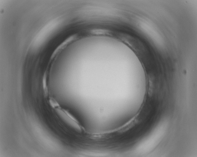 X0000083061198200702232013