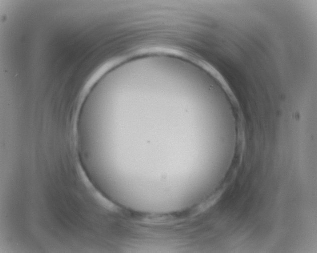 X0000083061199200702232013