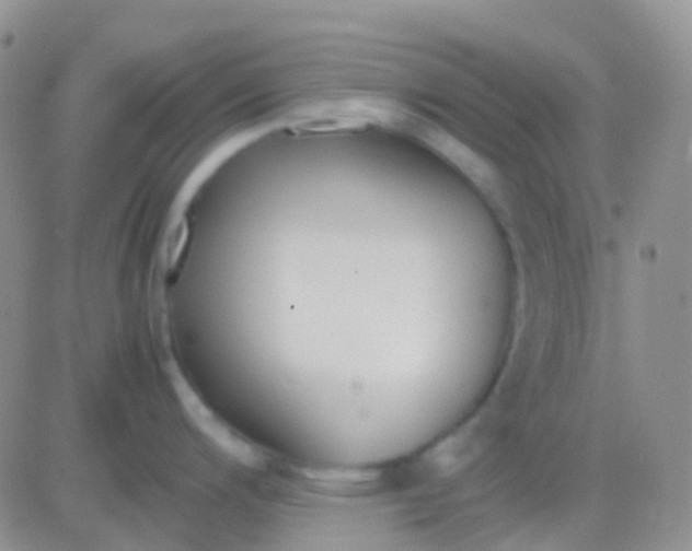 X0000083061200200702232013