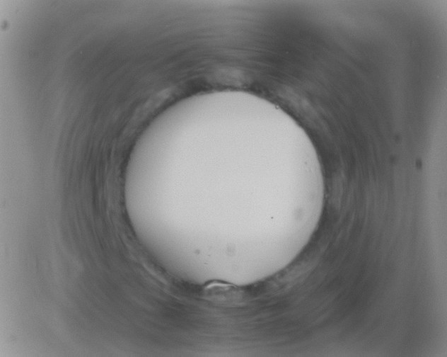 X0000083061201200702232012