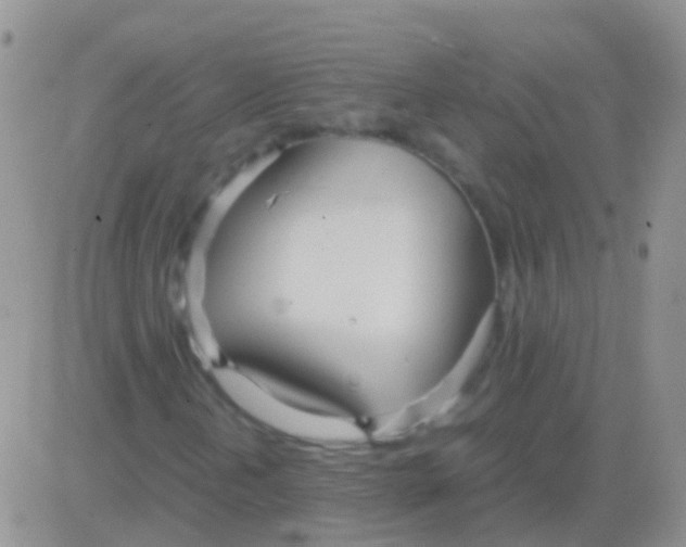 X0000083061202200702232012