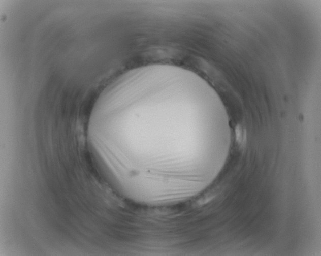 X0000083061203200702232012