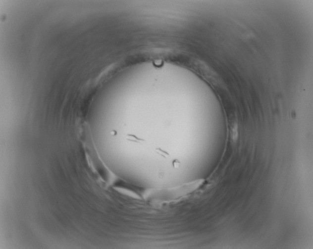 X0000083061204200702232012