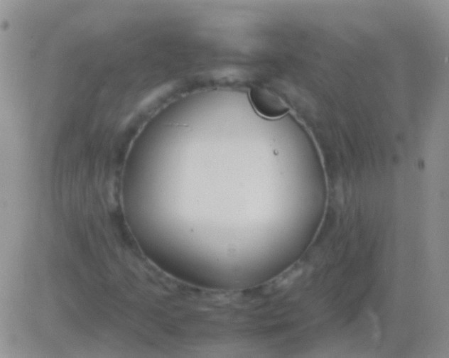 X0000083061205200702232012