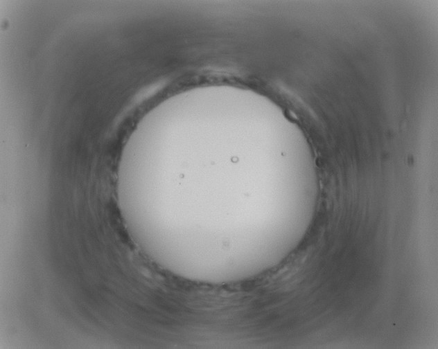 X0000083061207200702232012