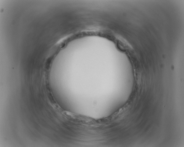 X0000083061208200702232012