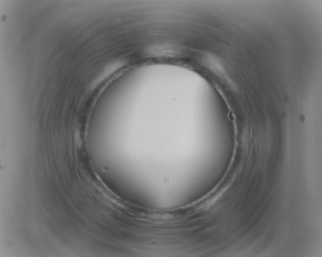 X0000083061209200702232012