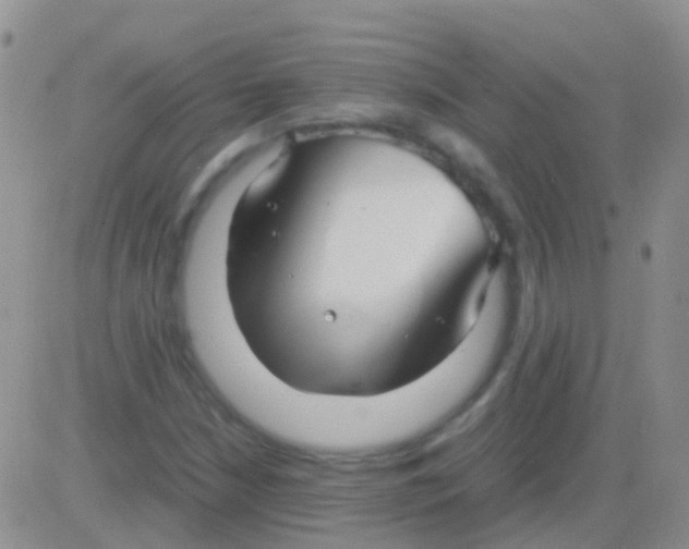 X0000083061210200702232012