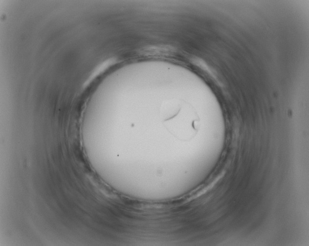 X0000083061211200702232012