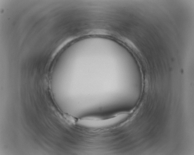 X0000083061212200702232012