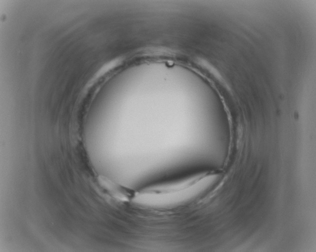 X0000083061213200702232012