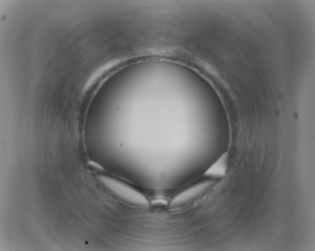 X0000083061214200702232012