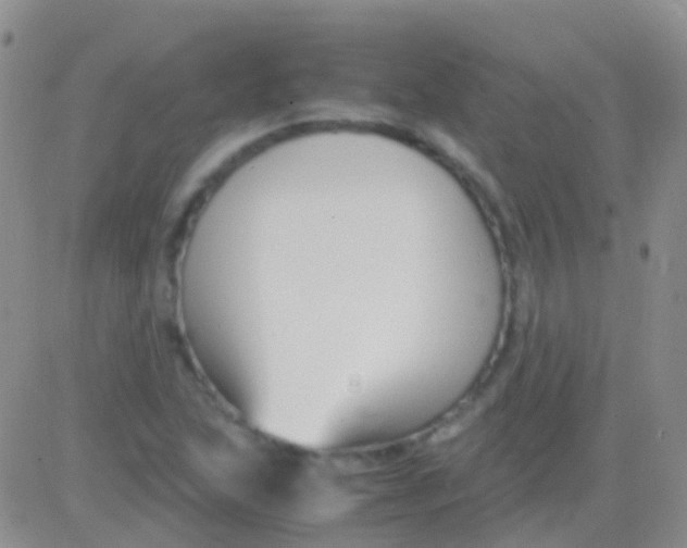 X0000083061215200702232012