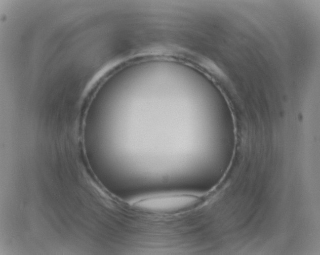 X0000083061216200702232012