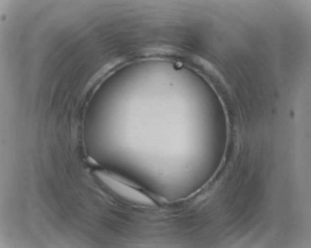 X0000083061217200702232012