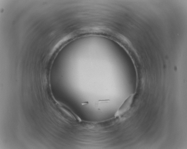 X0000083061218200702232012