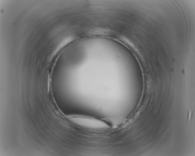 X0000083061219200702232012