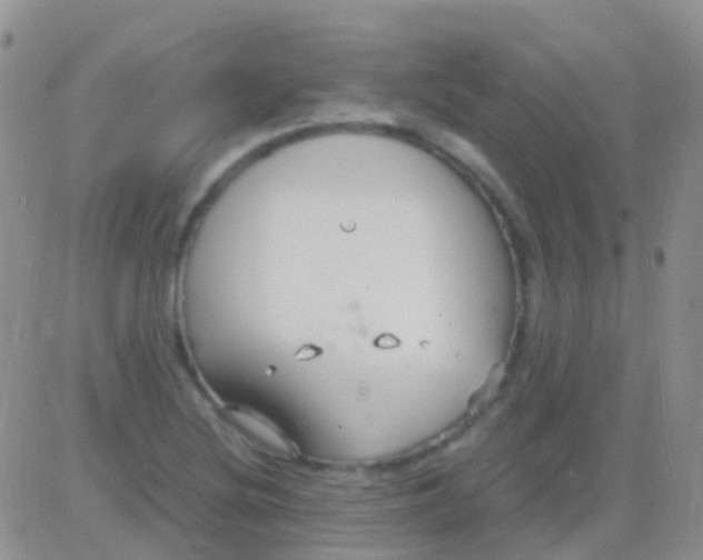 X0000083061220200702232013