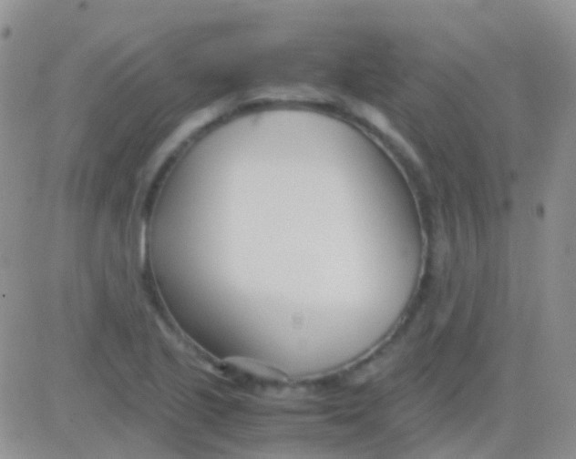 X0000083061221200702232013