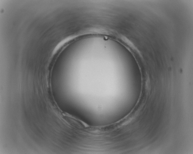 X0000083061222200702232013