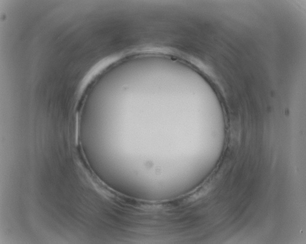 X0000083061223200702232013