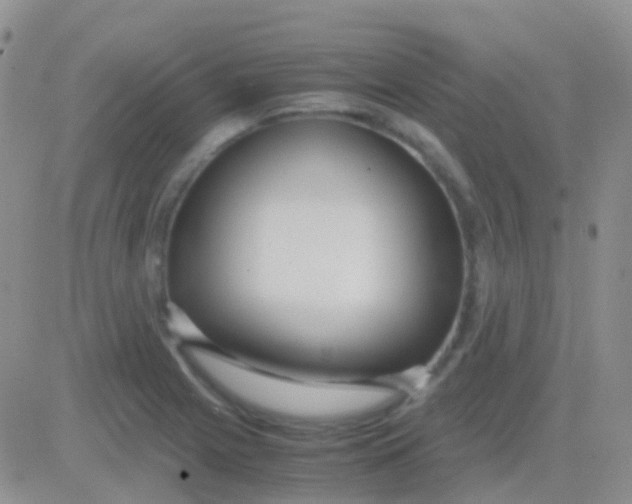 X0000083061225200702232013