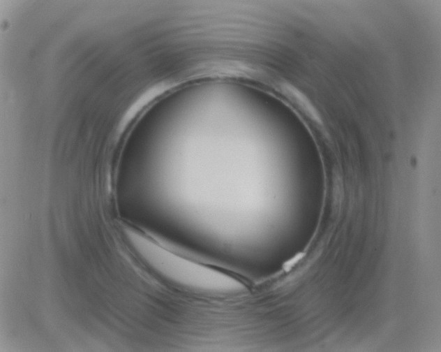 X0000083061226200702232013