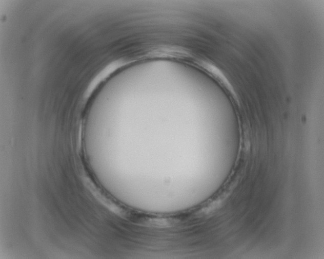 X0000083061227200702232013