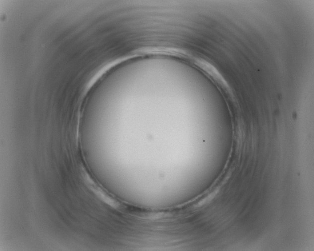 X0000083061228200702232013